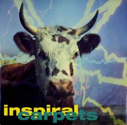 Inspiral Carpets : She Comes in the Fall